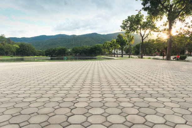 Best Professional Driveway Pavers  in Marion, IL
